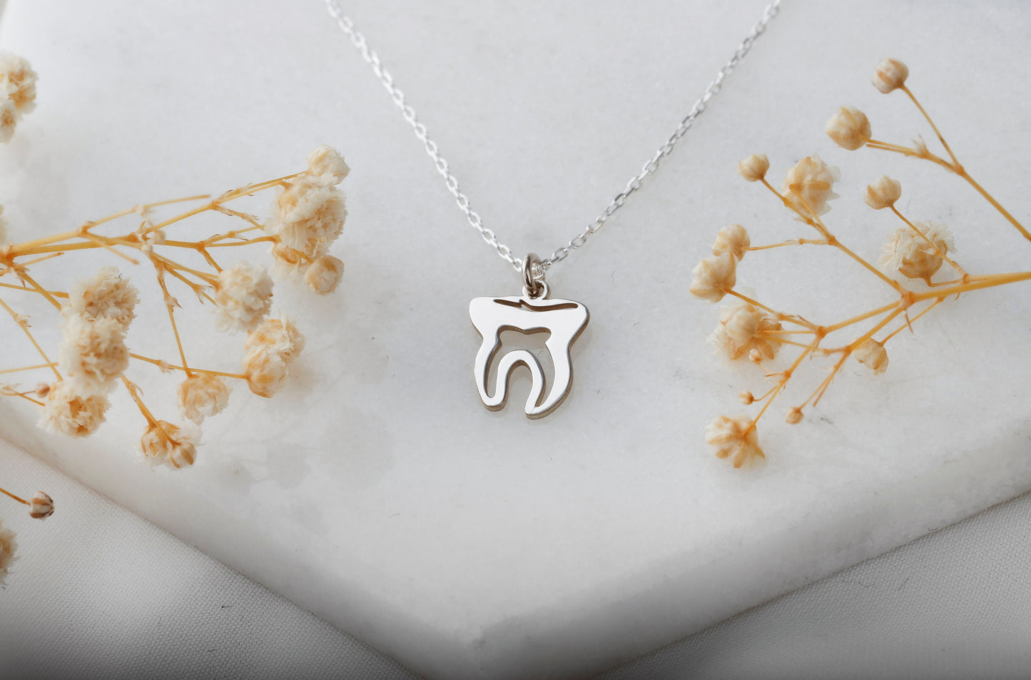 Dainty Tooth Necklace, Dental Hygienist Gift Tiny, Dental Assistant Gift, Gift for Dentist, Delicate Tooth Pendant, Tiny Tooth Necklace - silvergoldandrose