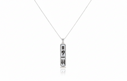 Silver pendant necklace on a white background