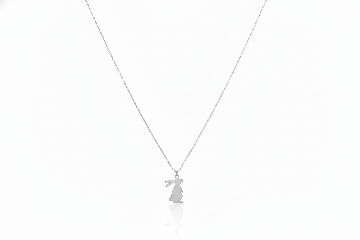 Silver necklace with a delicate pendant on a white background