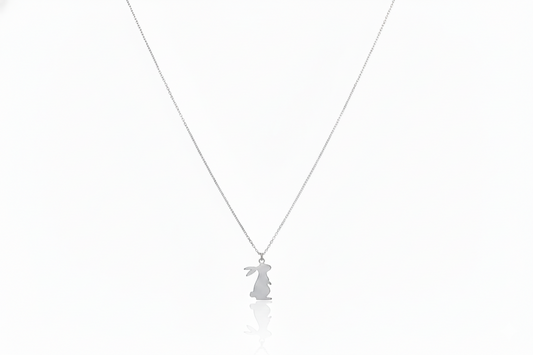 Silver necklace with a delicate pendant on a white background