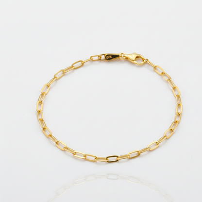 Gold chain bracelet on a white background