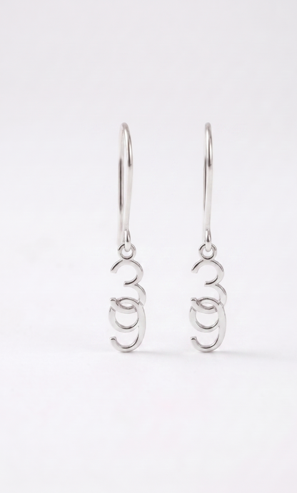 Pair of silver earrings on a white background