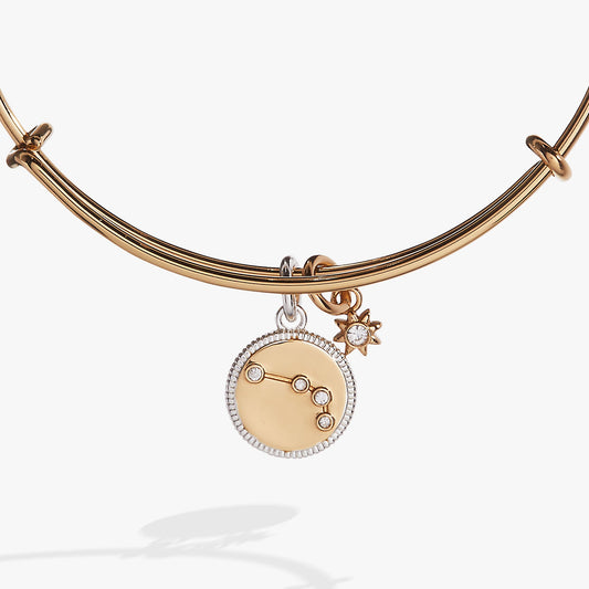 Aries Zodiac Charm Bangle