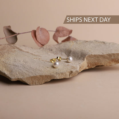 Pearl earrings on a stone surface with dried leaves, on a beige background.