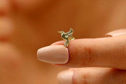 A close-up image of a person wearing a small gold hoop earring in their left ear.