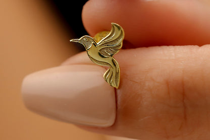 A close-up image of a person wearing a small gold hoop earring in their left ear.