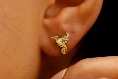 A close-up image of a person wearing a small gold hoop earring in their left ear.