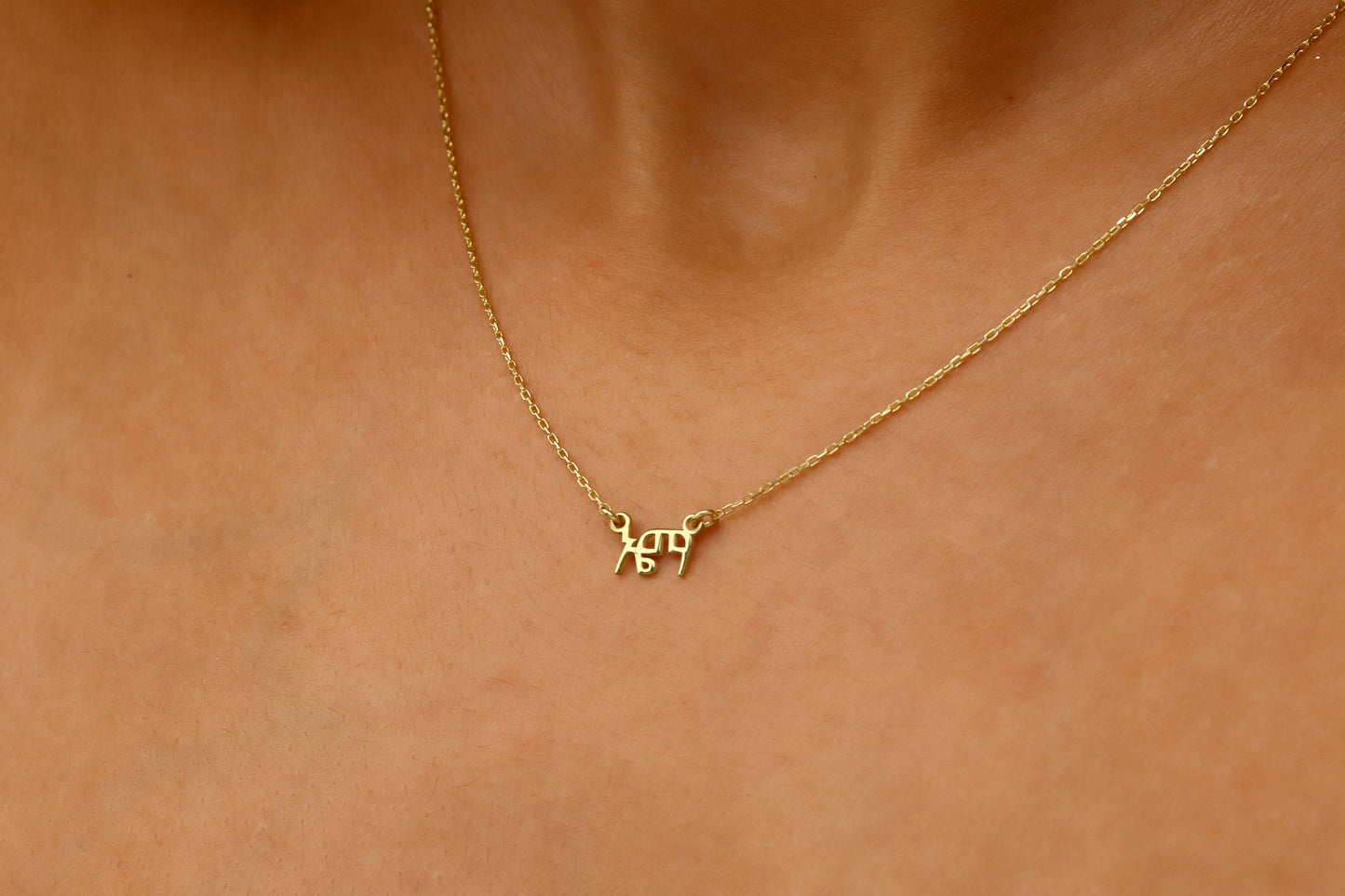 14K Gold Amharic Name Necklace, Ge'ez Script Name Necklace, Ethiopian Necklace, Ge'ez Font Jewelry, Personalized Necklace, Ethiopian Gifts - silvergoldandrose