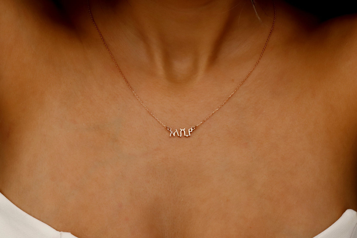 14K Gold Amharic Name Necklace, Ge'ez Script Name Necklace, Ethiopian Necklace, Ge'ez Font Jewelry, Personalized Necklace, Ethiopian Gifts - silvergoldandrose