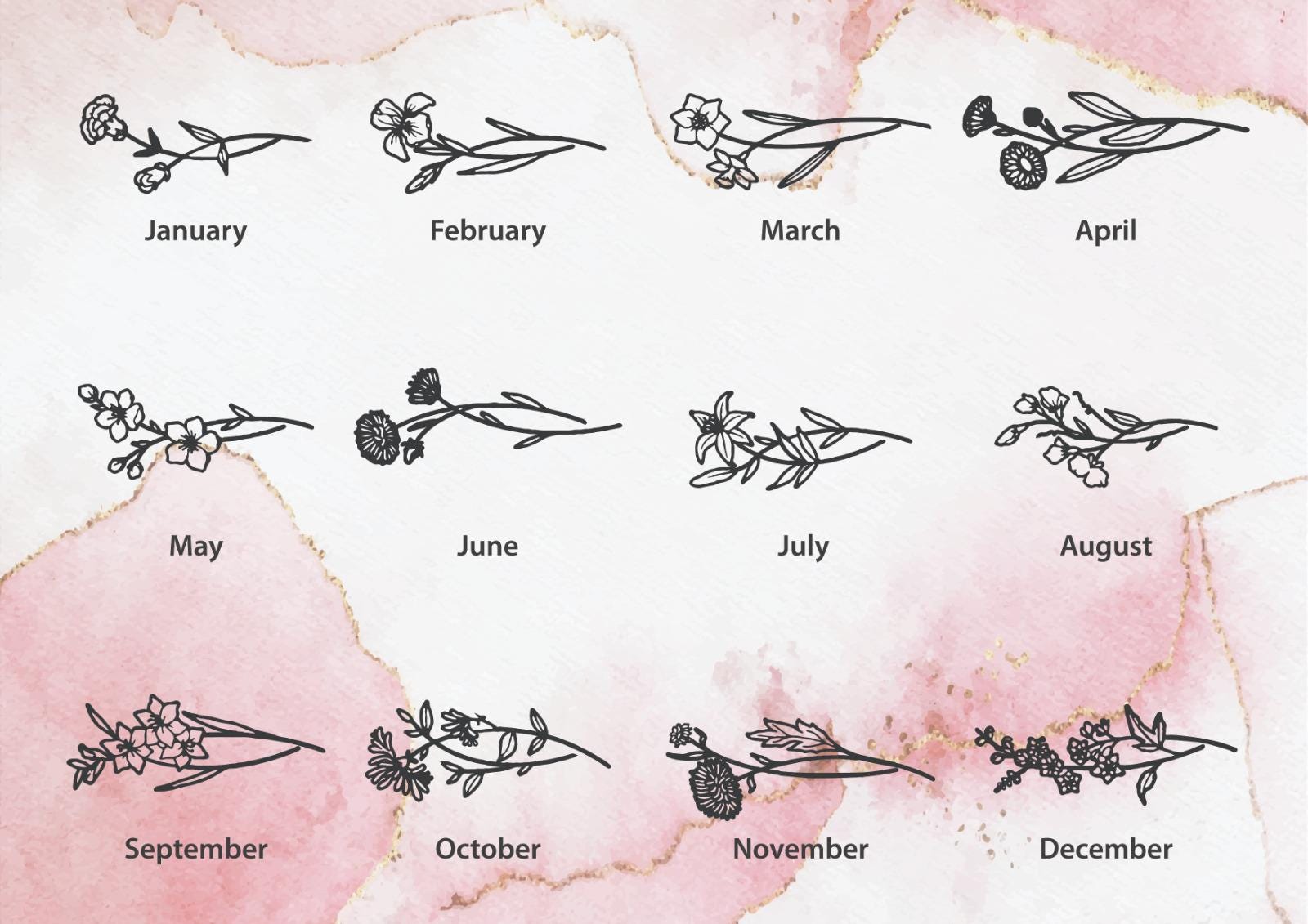 Illustrations of floral designs for each month on a pink watercolor background