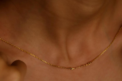 Gold necklace being worn on a person's neck against a brown background
