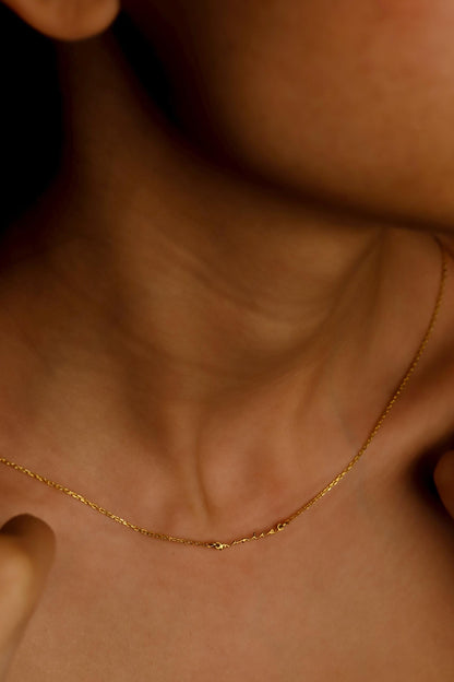 Close-up of a gold necklace on a person's neck with a blurred background