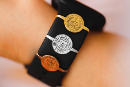 Black diploma with gold and bronze seals on a blurred background